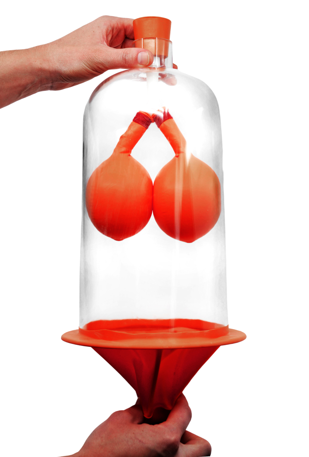 ?Lung Function Demonstration Model, 13 Inch - Rubber & Plastic?- Eisco Labs