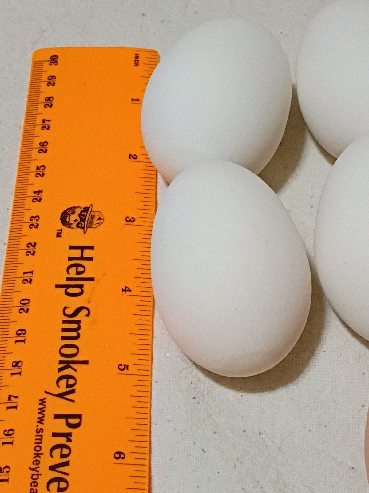 Set Of 10 Polymer Chicken Eggs B9