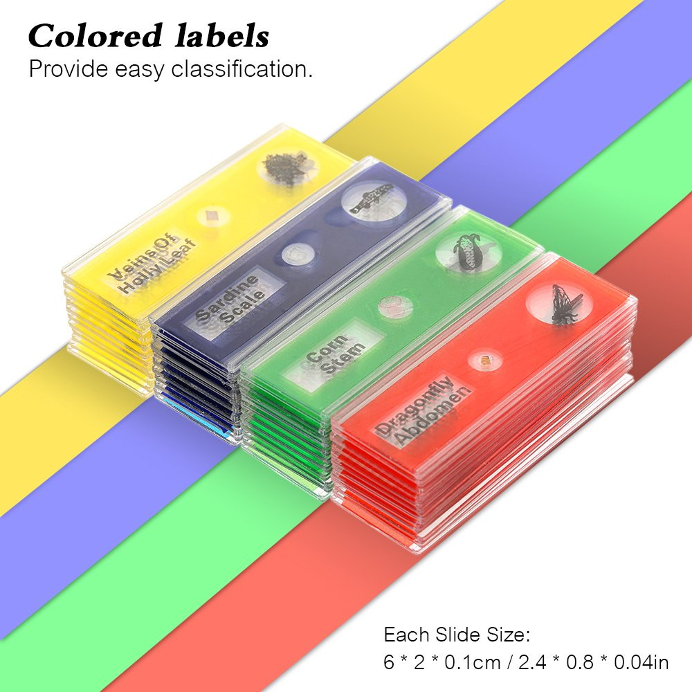 Prepared Microscope Slides, 48pcs Plastic Animals Insects Plants Flowers Sample