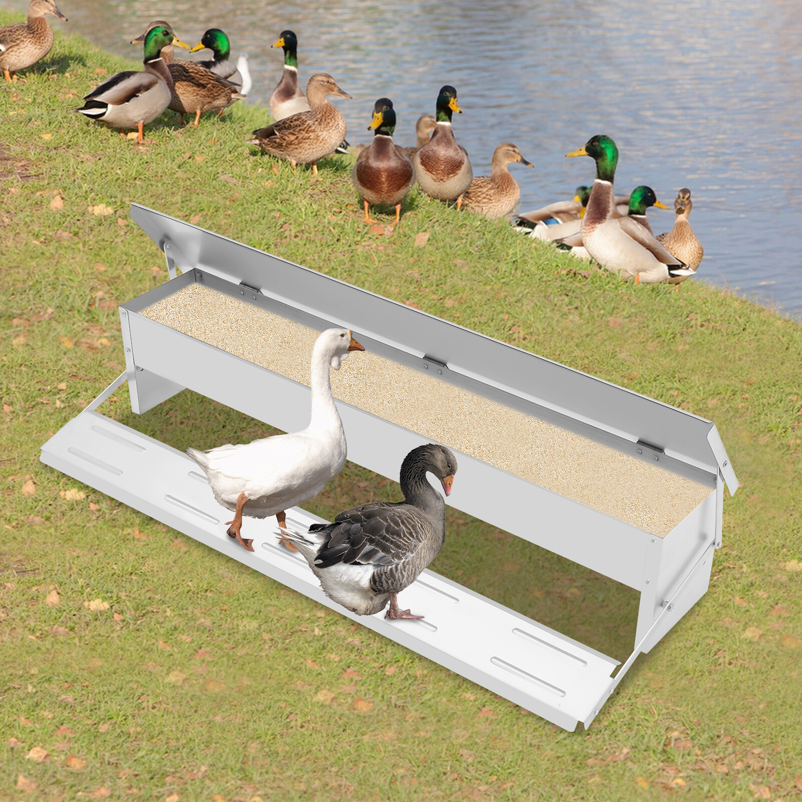 Automatic Chicken Feeder Galvanized Sheet Poultry Feed Protector 22lbs Capacity