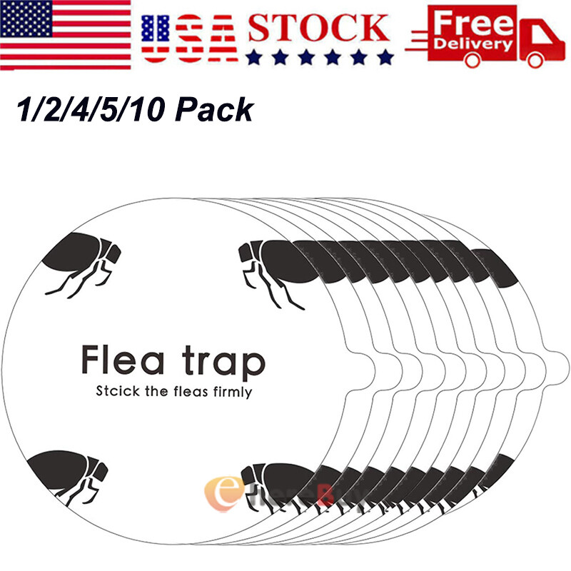 1~10X Disposable Flea Trap Sticker Sticky Dome Flea Trap Refill Flea Glue Discs