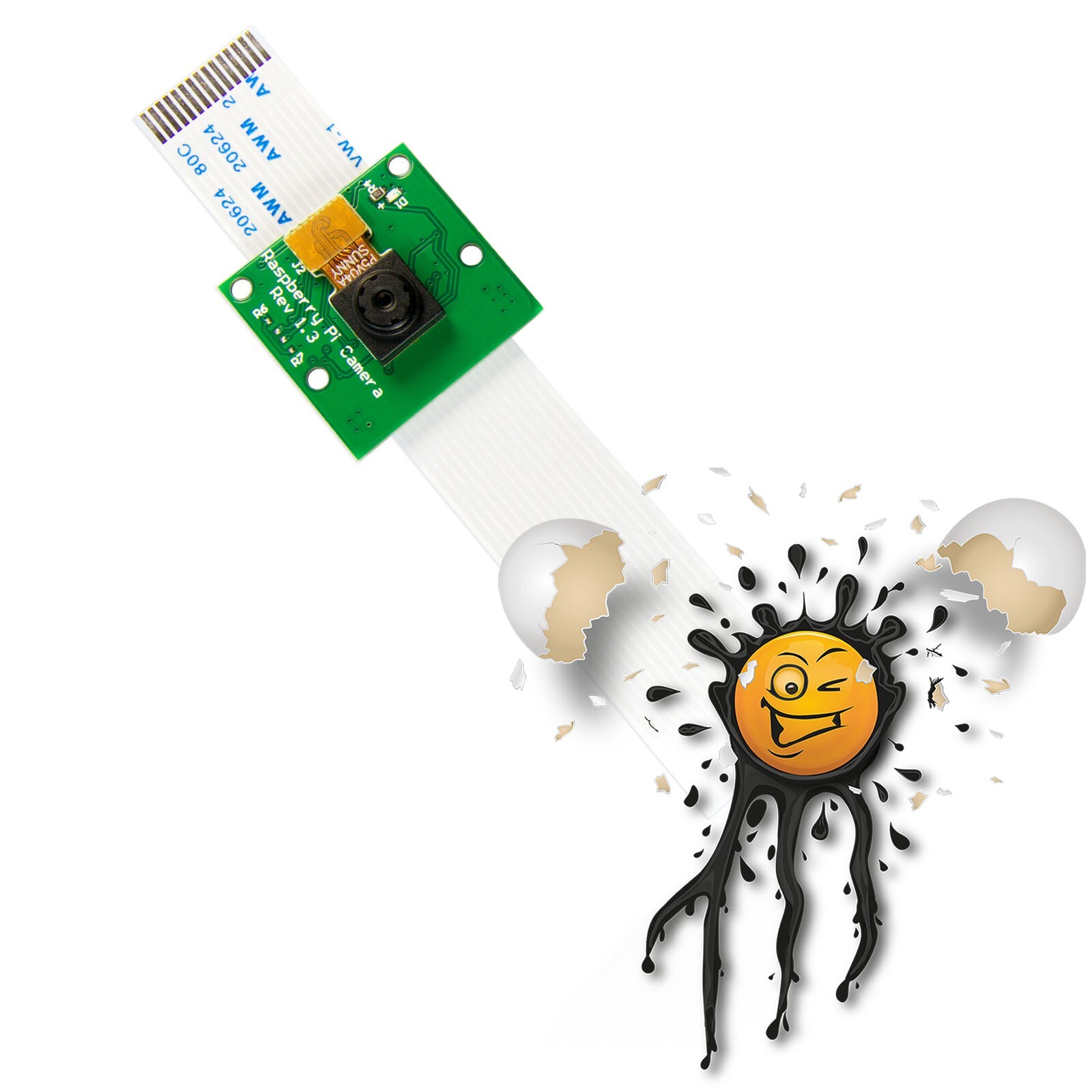 Raspberry Pi Camera Module Camera Module OV5647 5MP Cam 1080p FullHD Videos
