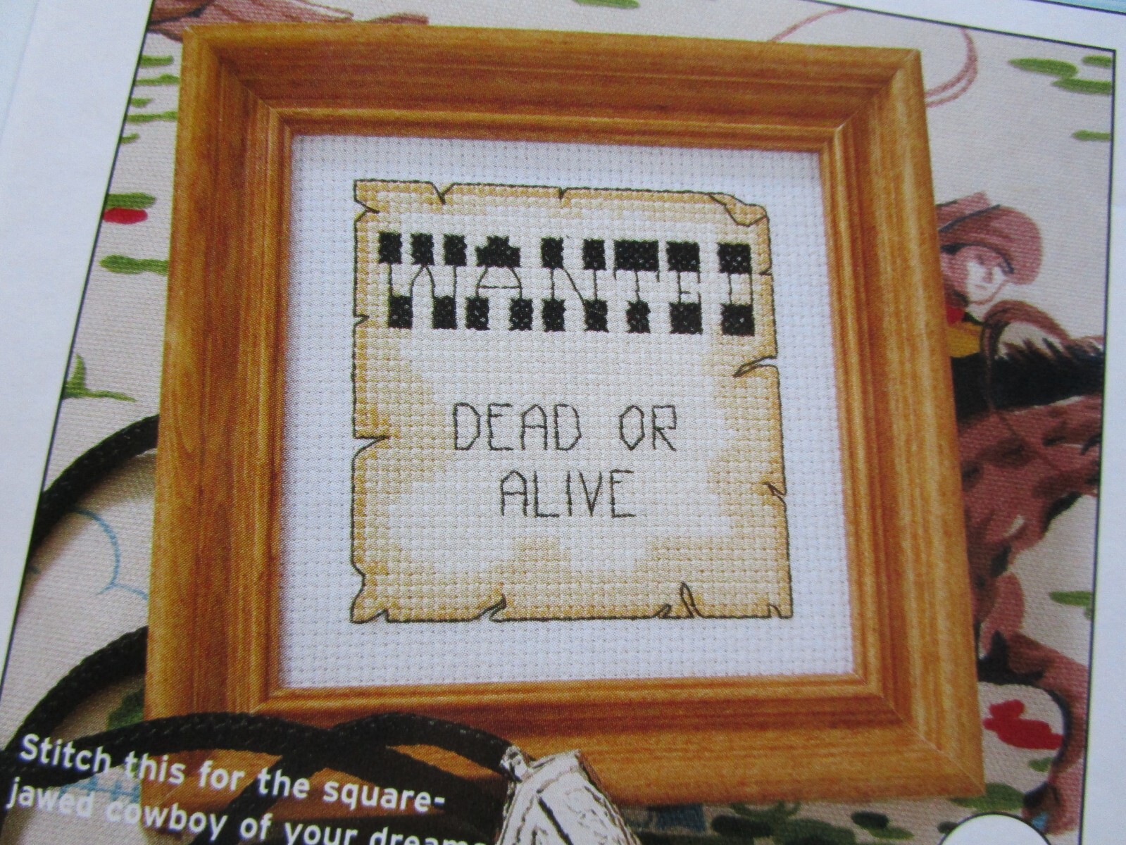Wild Wild West Assortment Design Collection 29 CROSS STITCH PATTERNS