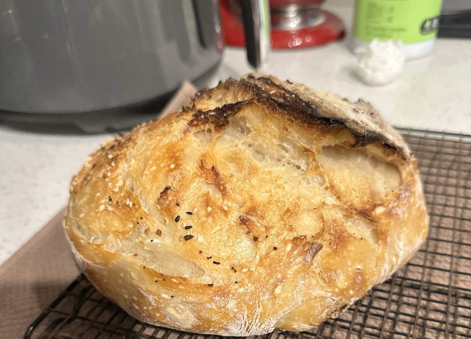 Established Dehydrated Sourdough Starter - wildly active!