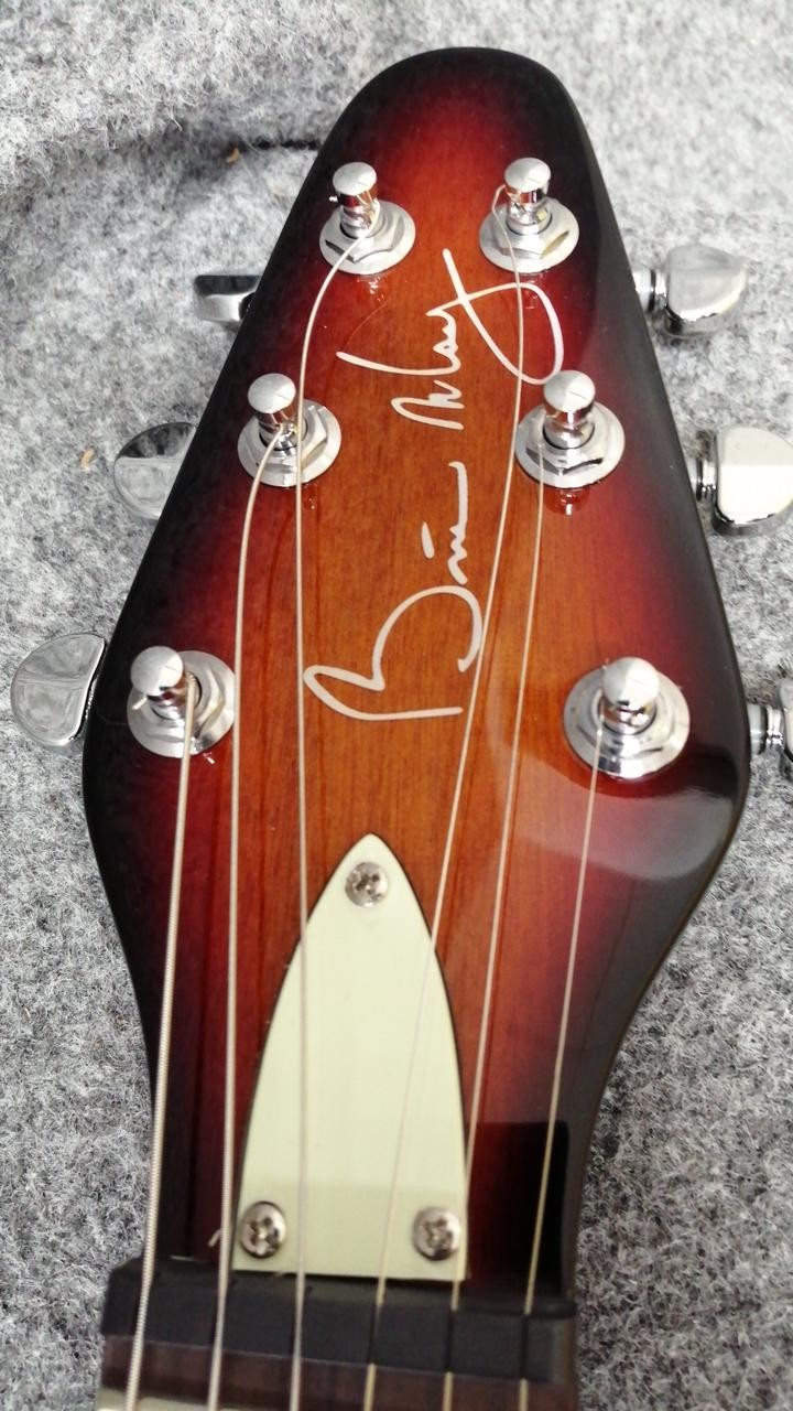 BRIANMAY GUITARS BM-3TS