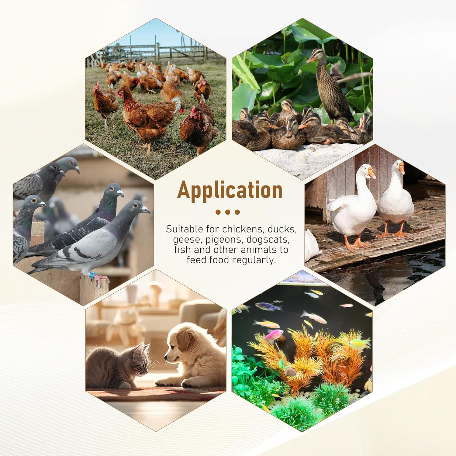 Automatic Chicken Feeder Timer and Duck Feeder, 16 Groups Timed Poultry Feeder G