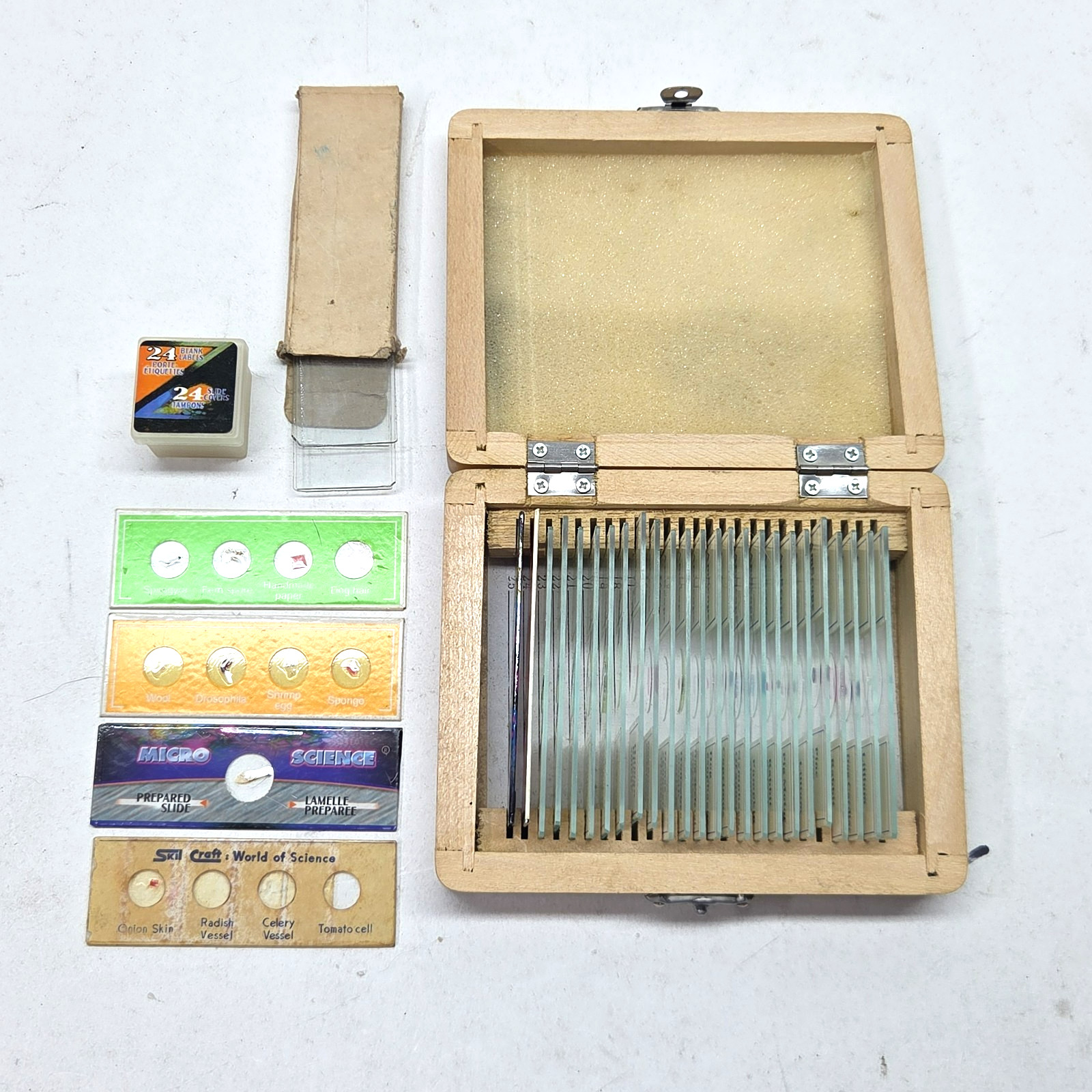 Amscope Microscope 25 Slides Animal & Plants w/Wooden Box  Biology Slide Science
