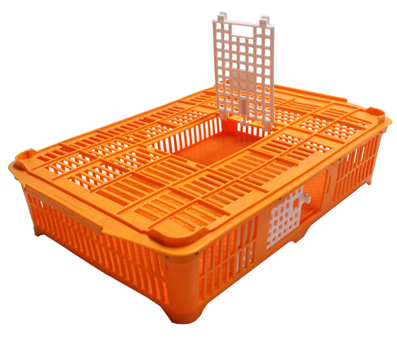 Baby Chick & Grown Quail Coop (0299)