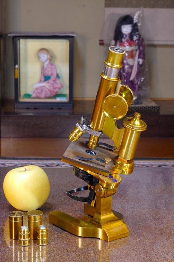 Antique Ernst Leitz Stand I Research Microscope c.1887 SN 10555 Mahogany Case