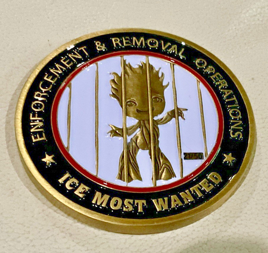Ice Donald TRUMP   Challenge Coin REMOVAL OPERATIONS  Groot JAIL