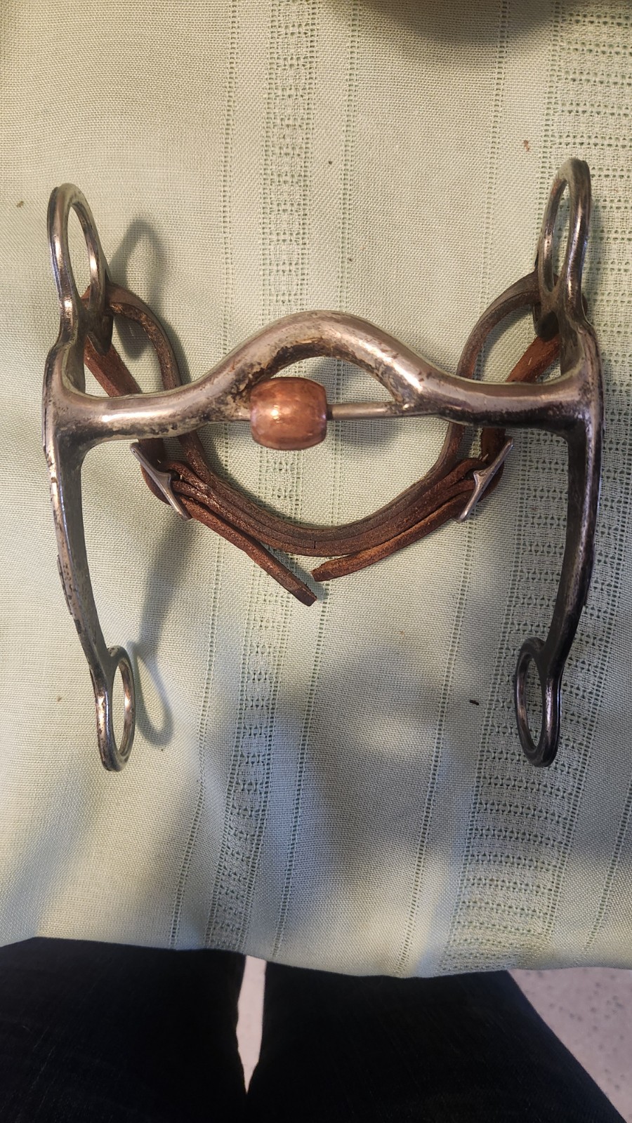 Western Curb Bit with copper inlay