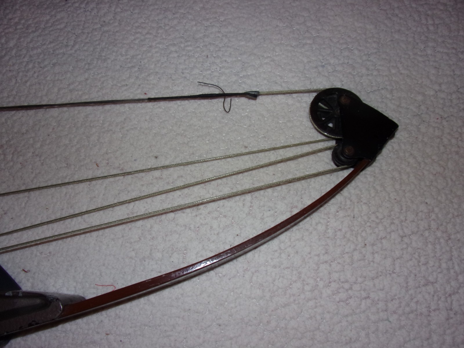 Bear Whitetail Hunter Vintage Compound Bow