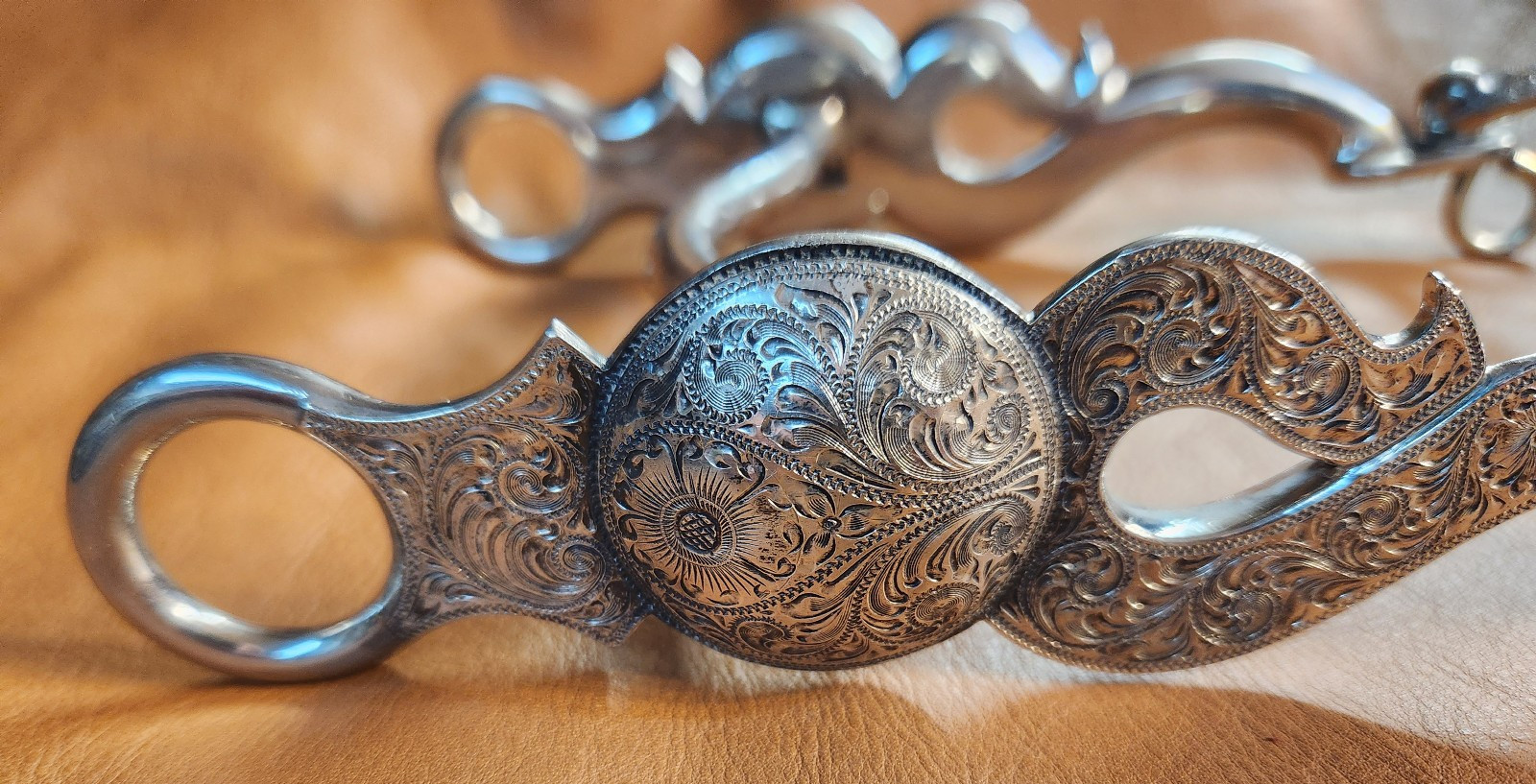 Western Sterling Silver Low Port Curb Bit