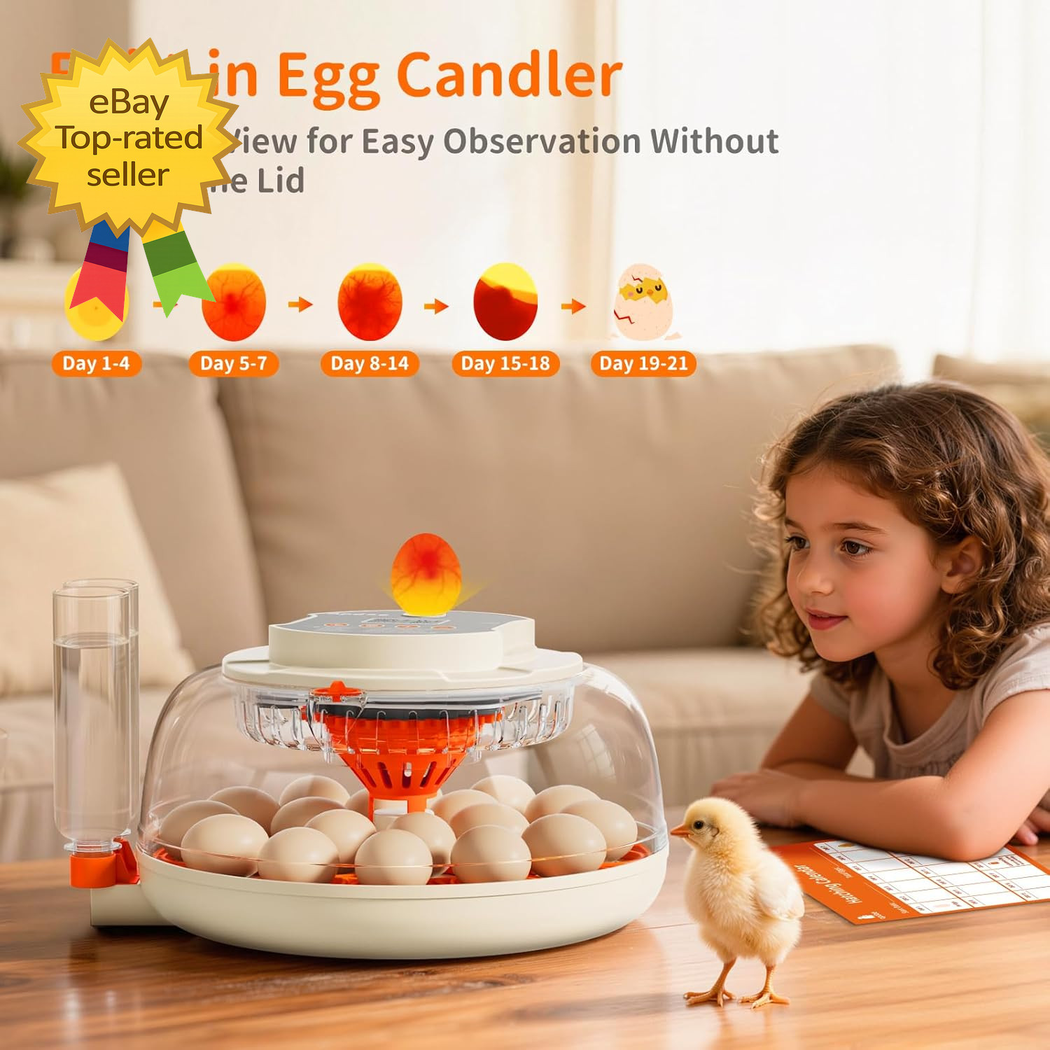 Egg Incubator 18 Capacity Automatic Turning Temperature HumidityControlHatchTool