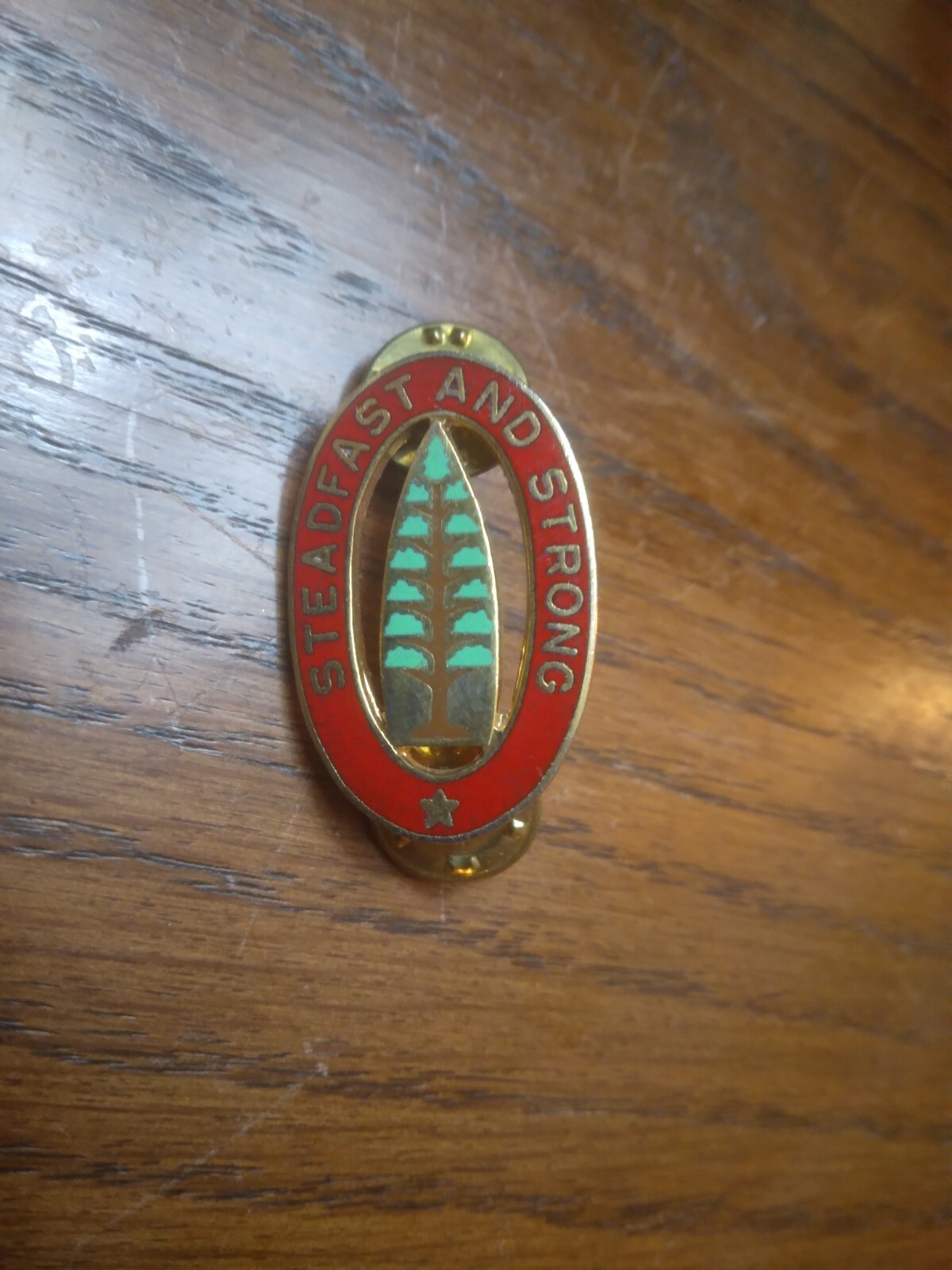 U.S Army Single DUI - Steadfast and Strong (23-1494)