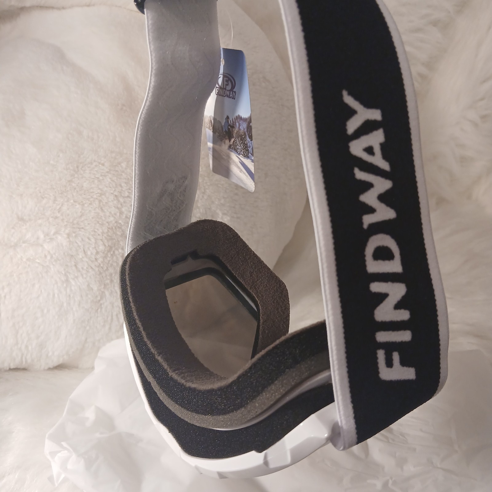 Ski Goggles