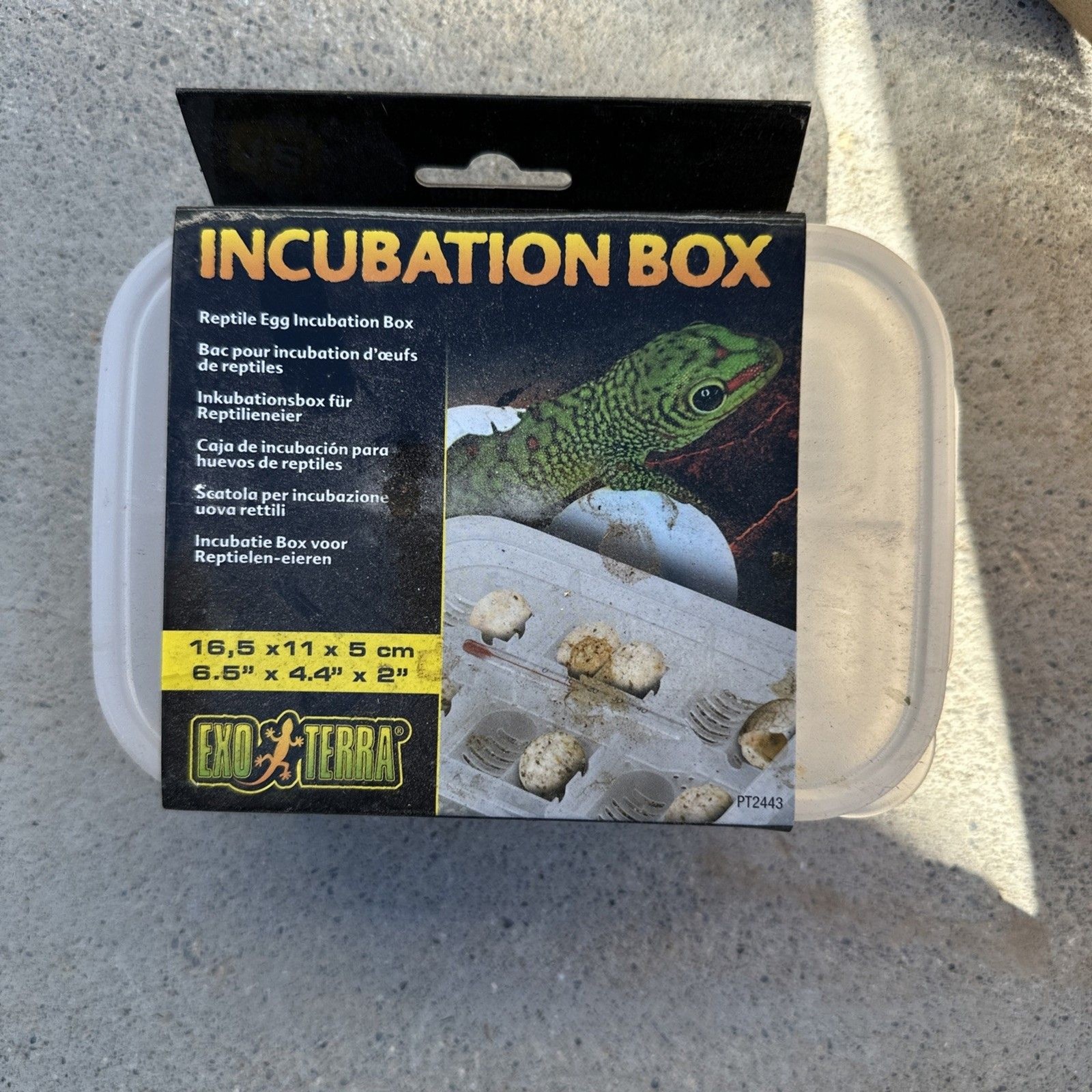 Exo Terra Incubation Box for Reptile Eggs Hatchling Container