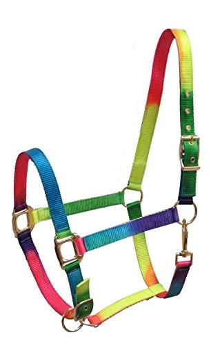 Showman Full Size Neon Rainbow Horse Halter w/ Adjustable Nose