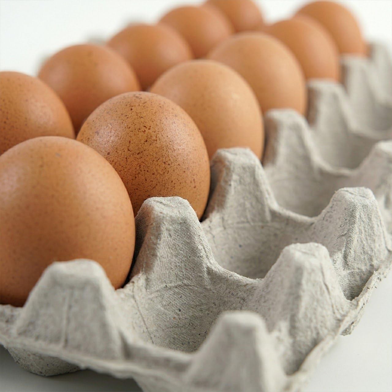 Egg Flat Cartons 30 Count, Pulp Fiber Egg Flats Bulk, Stackable Egg Trays for Fa