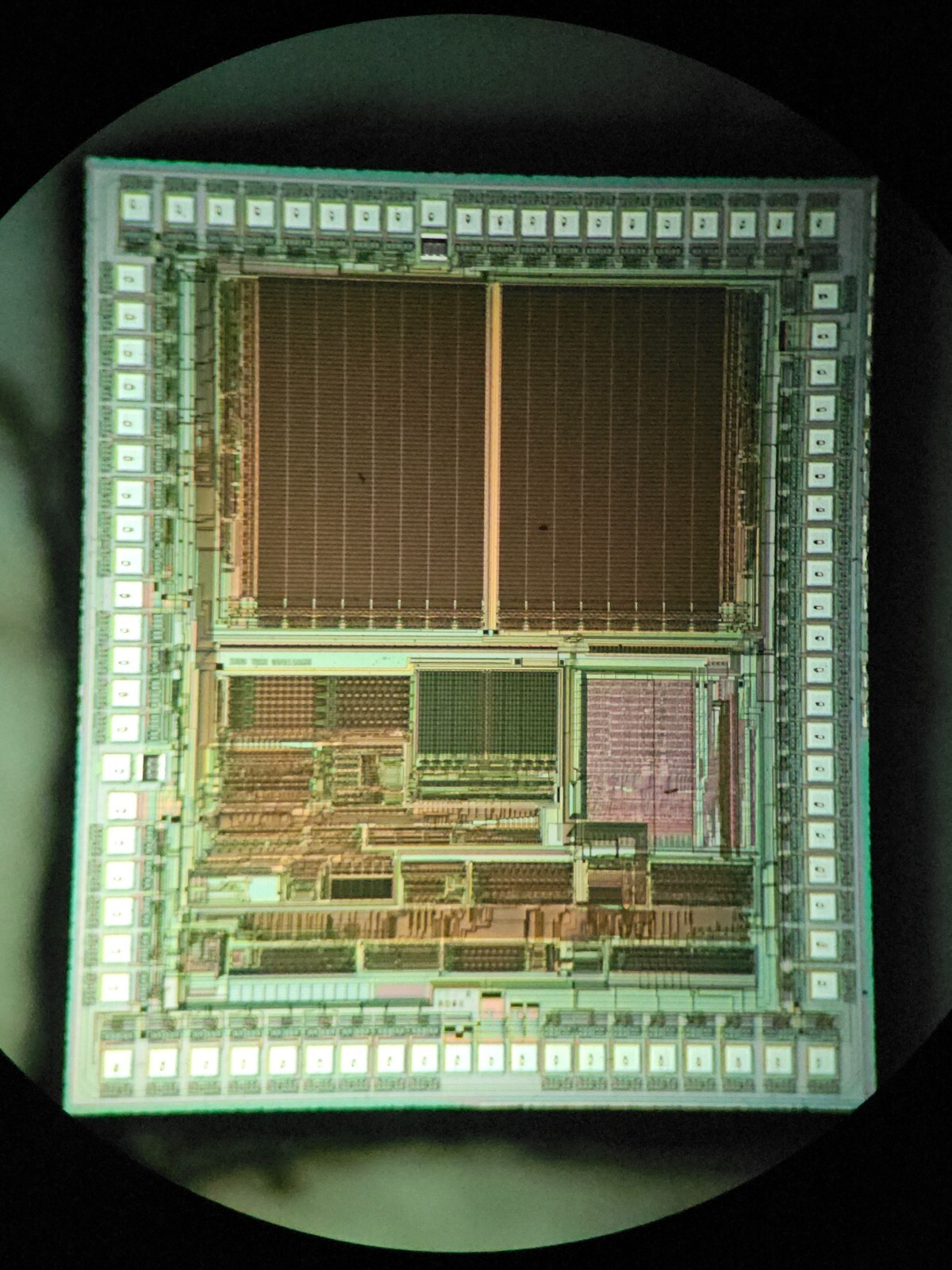 microscope slides