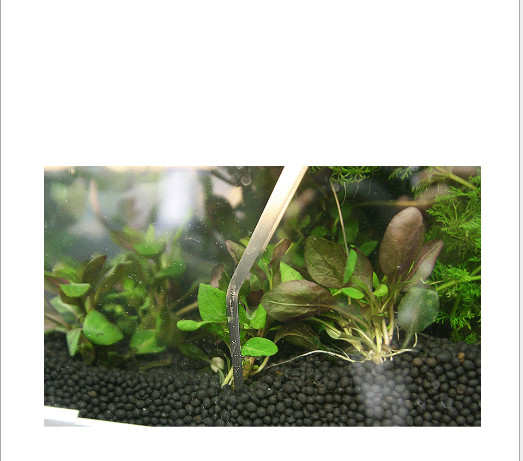 27cm Aquarium Fish Tank Live Plant Curve Long Tongs Stainless Steel Tweezers New