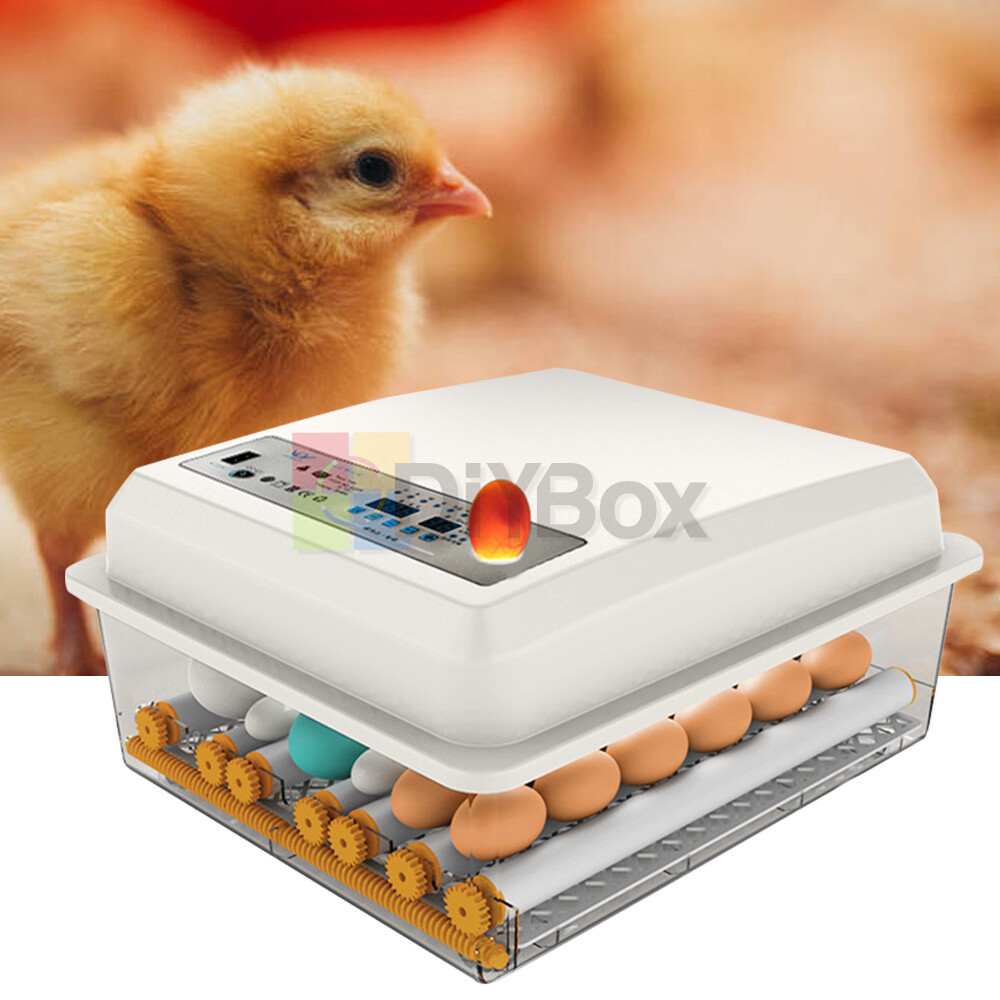 Household 36 Eggs incubator Intelligent Automatic Incubator for Chicken Duck NEW
