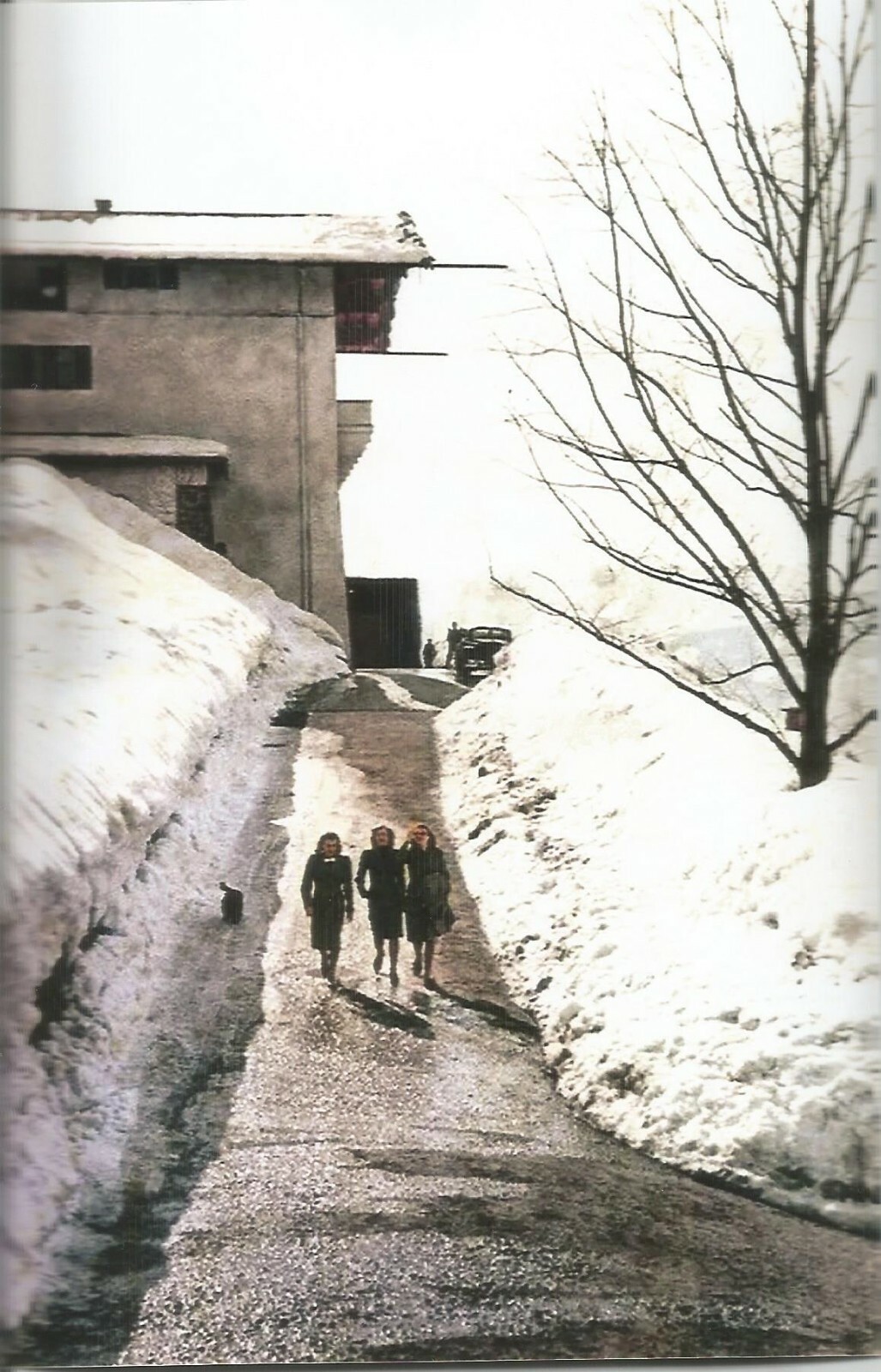 German WW II Photo .....  Eva & Gretl  - Berghof....