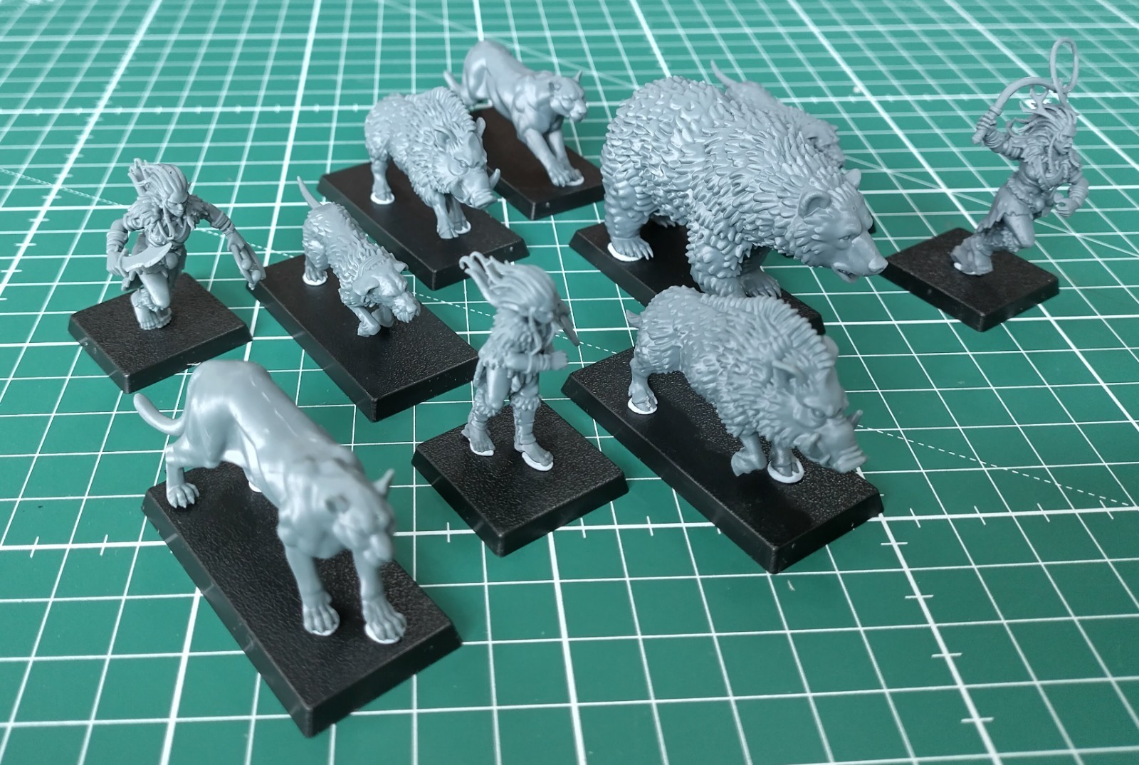 Highlands Miniatures Feral Elves Beastamers & Feral Animal Pack (bases inc)