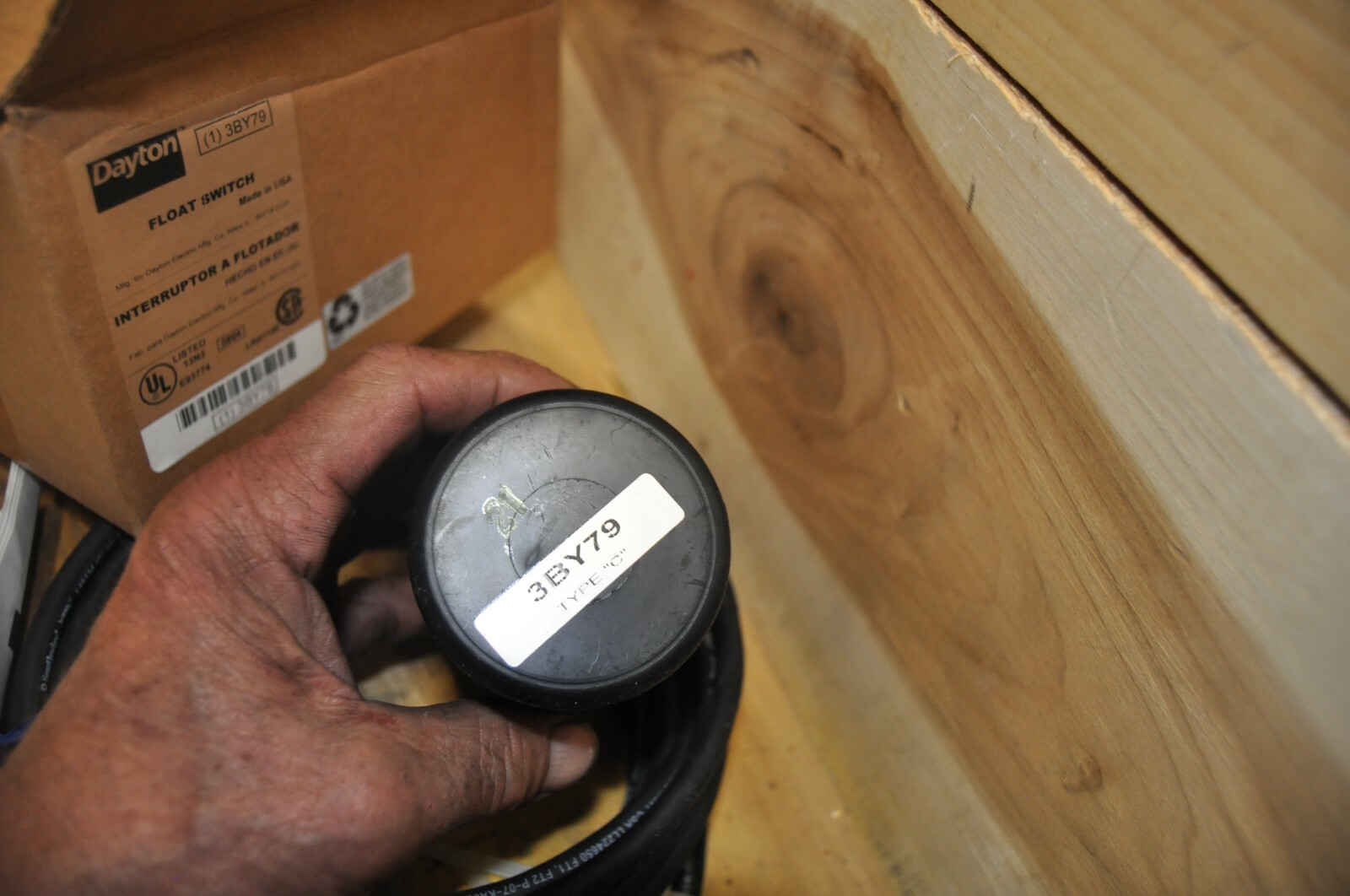 Dayton 3BY79 Float Switch 115V 10 amps