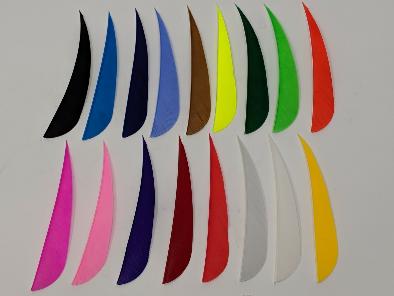 Archery Past 4" Parabolic Feathers - 12 Pack, RW or LW
