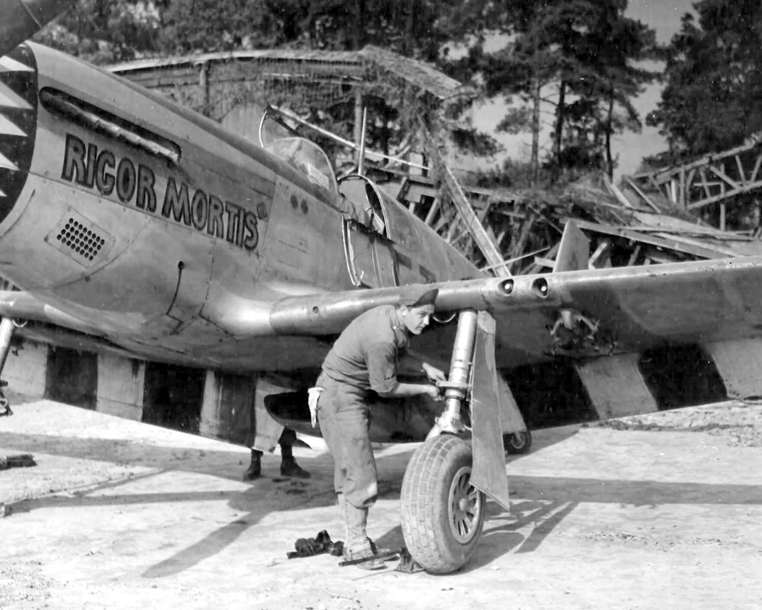 North American P-51 Mustang World War II WWII WW2 8x10 Photo 430c