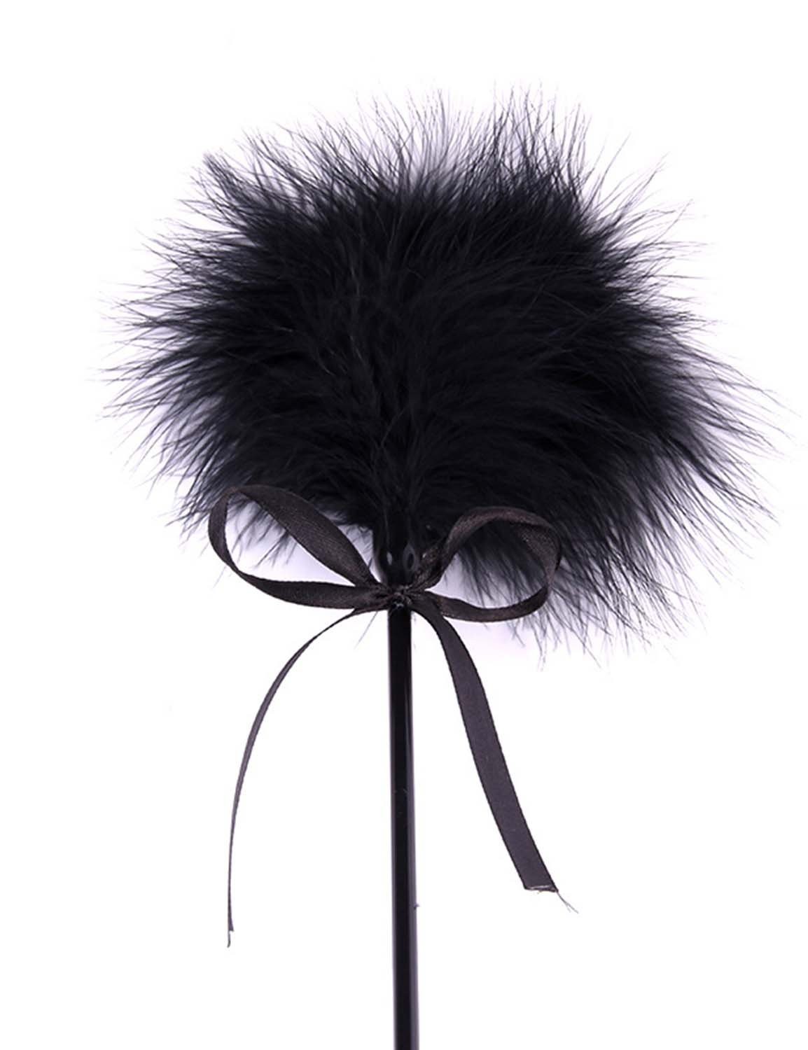 Vivilover Feather Tickler and Leather Slapper Costume Accessory Black