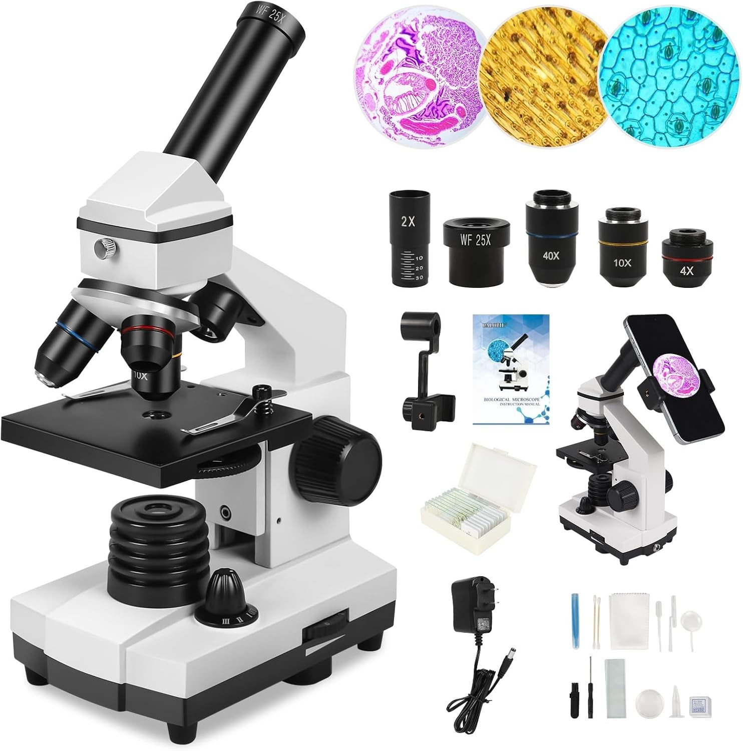 Compound Microscope, 100X-2000X, LED Light, Smartphone Adapter, White