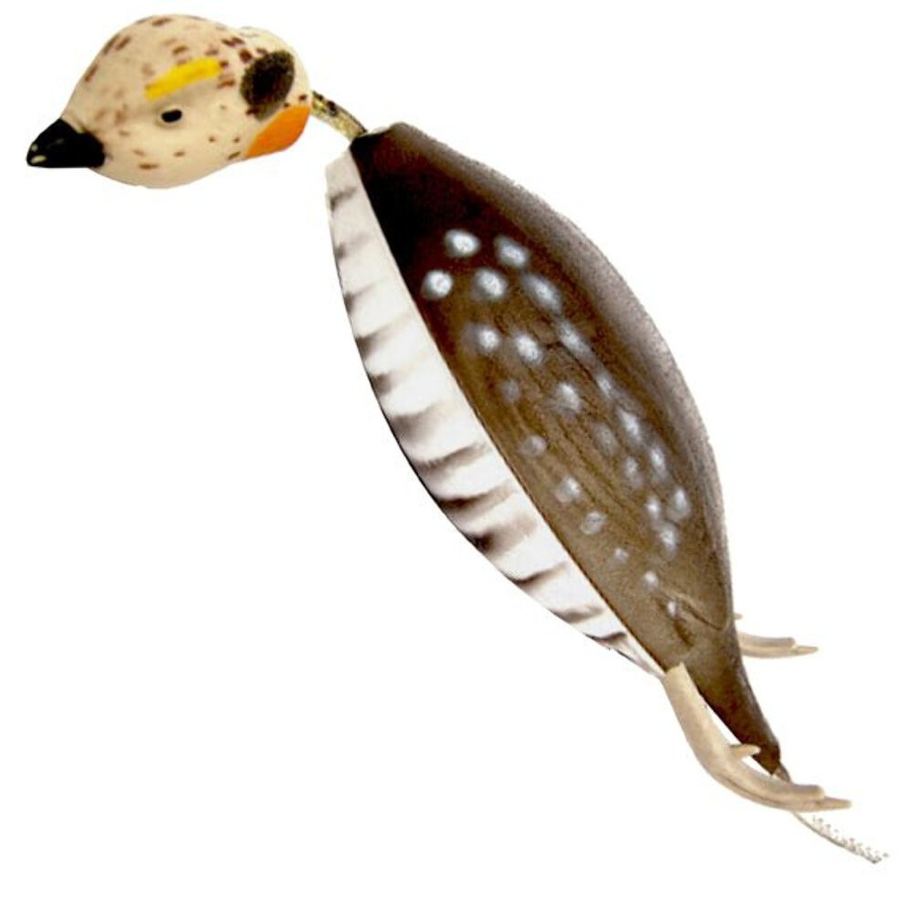 Dead Fowl Prairie Chicken