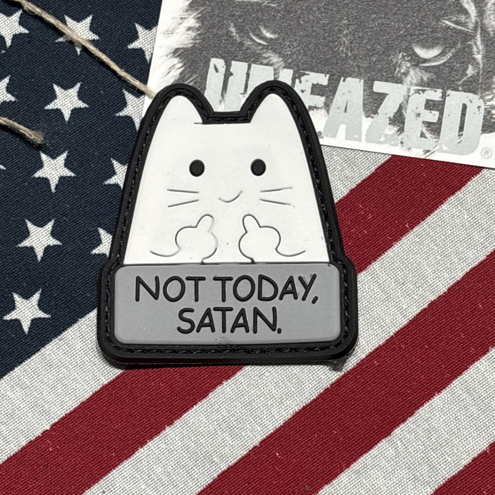 Not Today Flippin Birds Kat PVC Tactical Hook & Loop Patch Rubber 3d