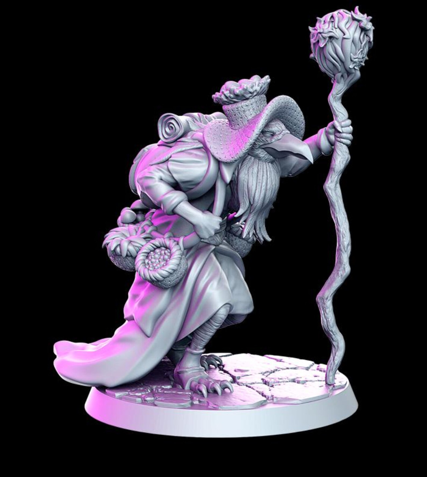 Dungeons and Dragons - Playable Character Aarakocra Dhrameek - Druid, Sorcerer