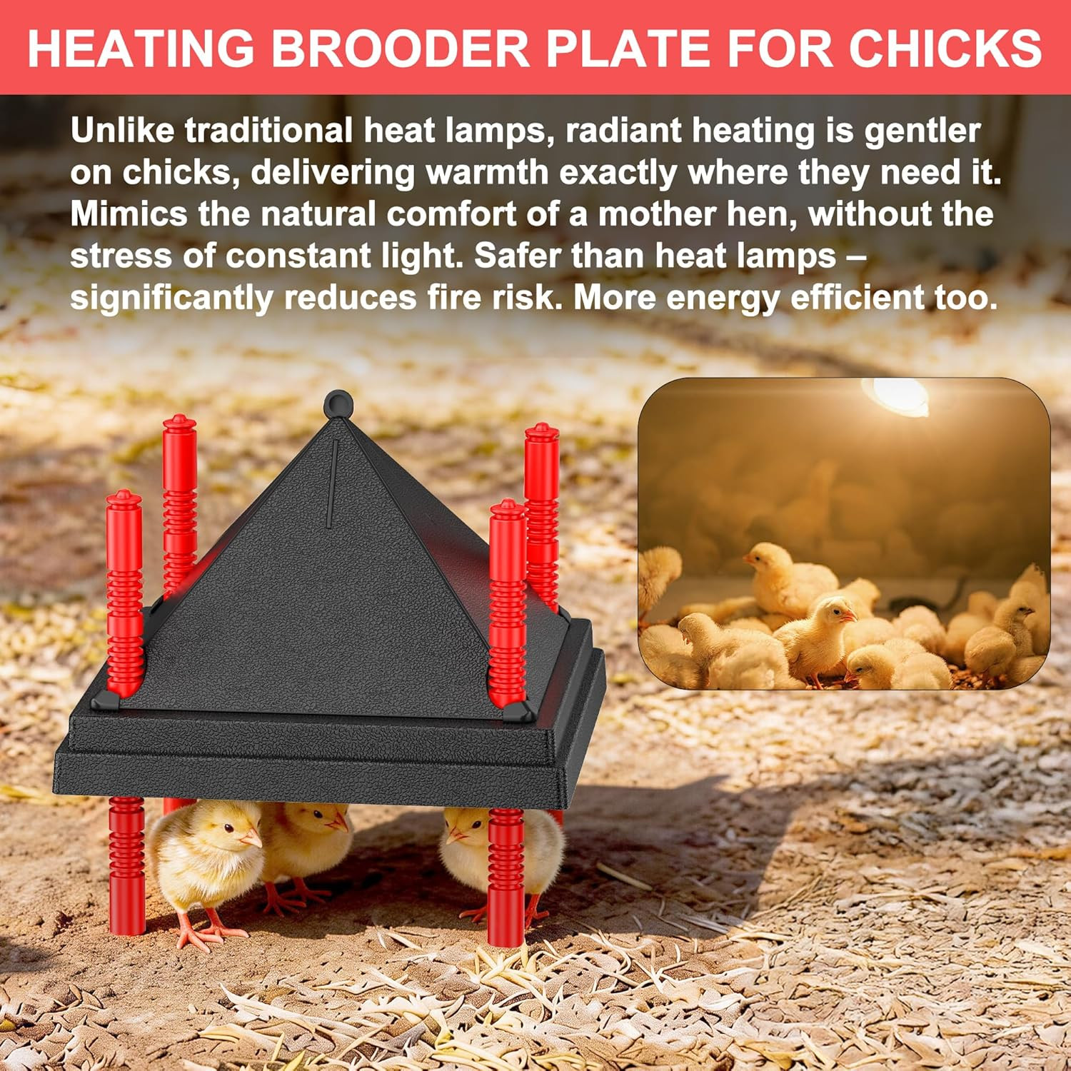 Chick Brooder Heating Plate with Anti Stand Cone, Adjustable Height Brooder Heat