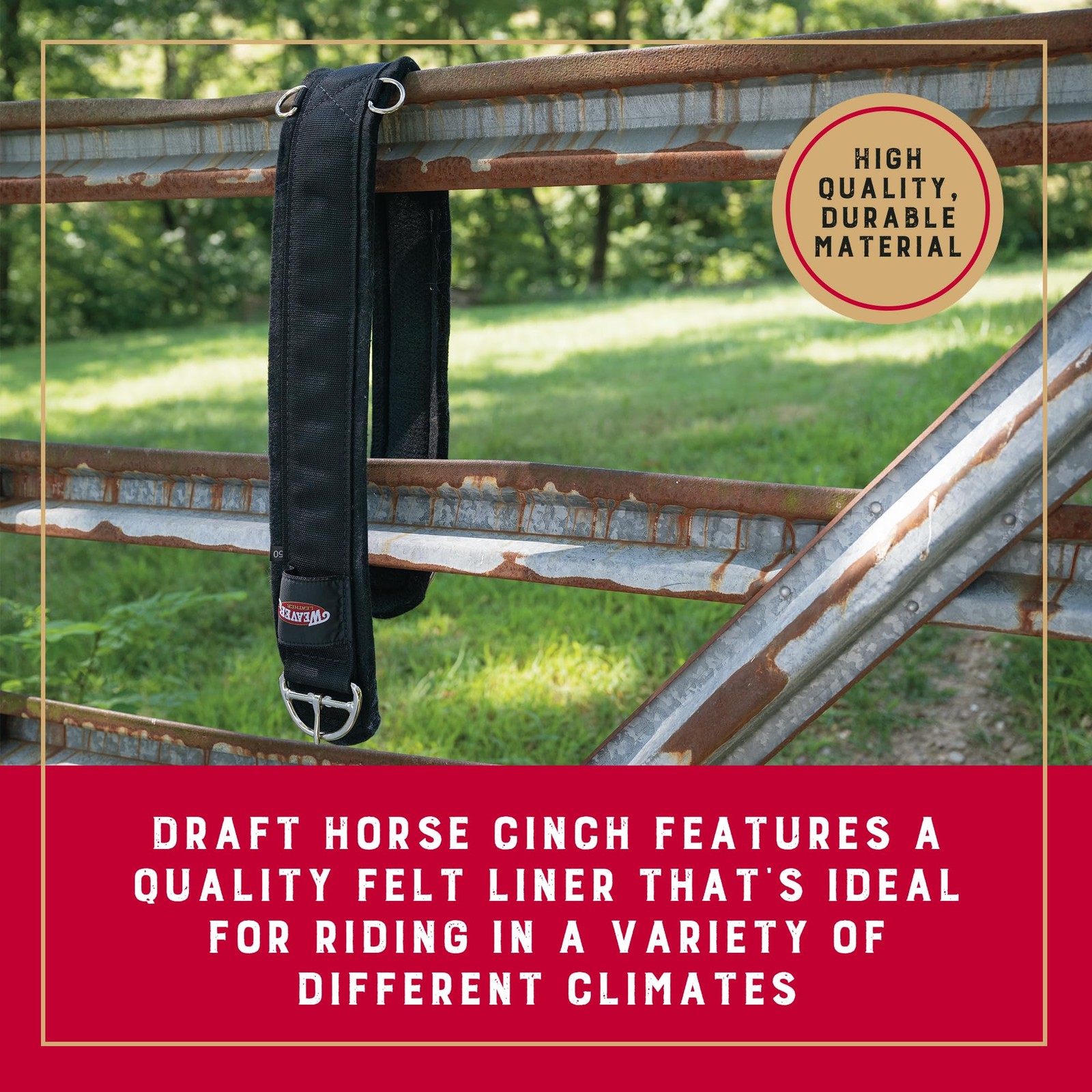 Weaver Draft Horse Felt Lined Cinch