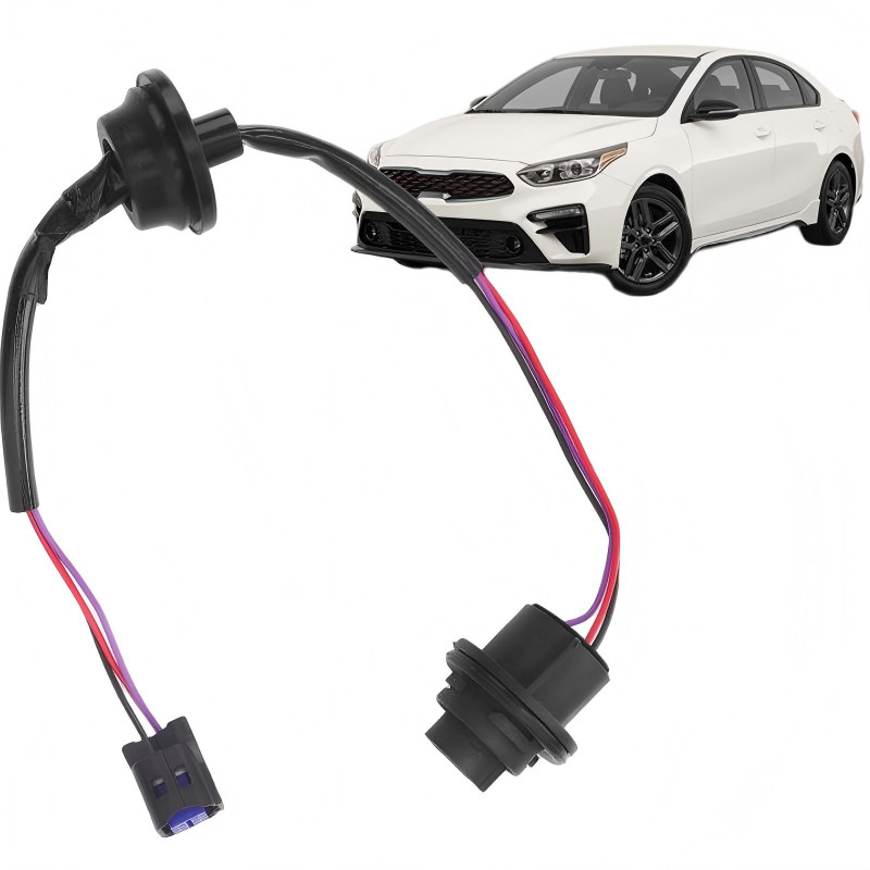 Outer Tail Lamp Light Wiring Harness Cable 92491-M7000 For 2019-2023 Kia Forte