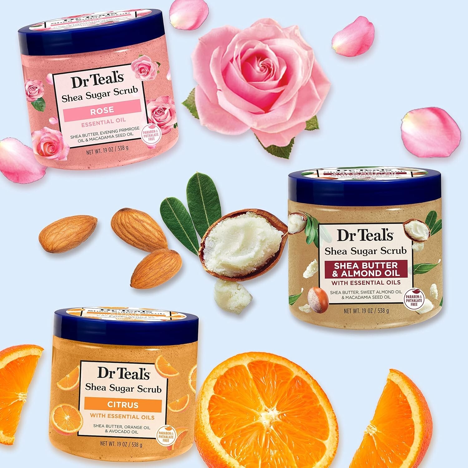 Exquisite Shea Sugar Scrub Set - 19oz Jars of Rose, Shea Butter, Citrus Trio
