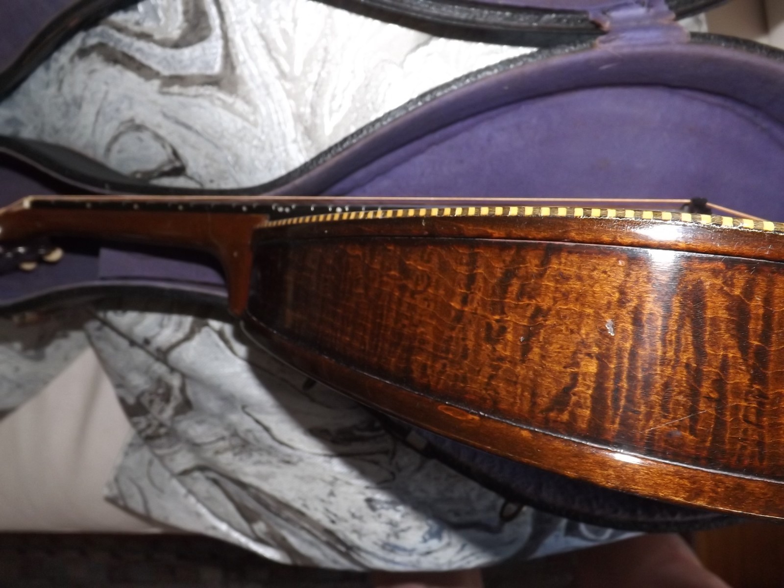 Rare Weymann Mandolute 100yrs old