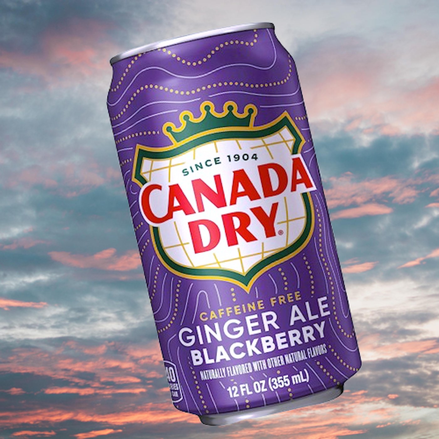 Canada Dry Limited Edition🍇Blackberry Ginger Ale 12oz.can
