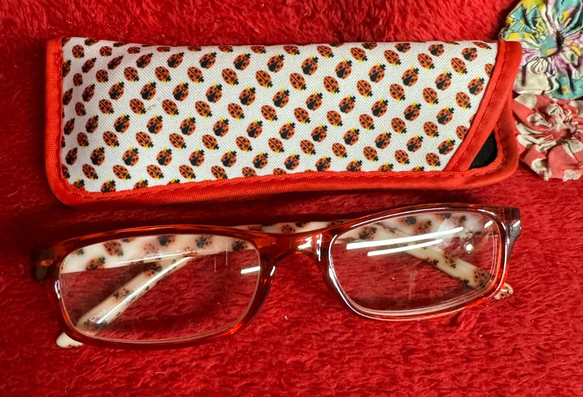 Ladybug Design Eye Glasses +1.25 Magnification with Matching Soft Eye Glass Case