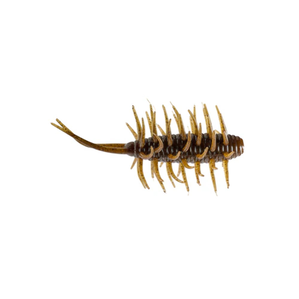 Hideup Coike Shrimp-Medium-