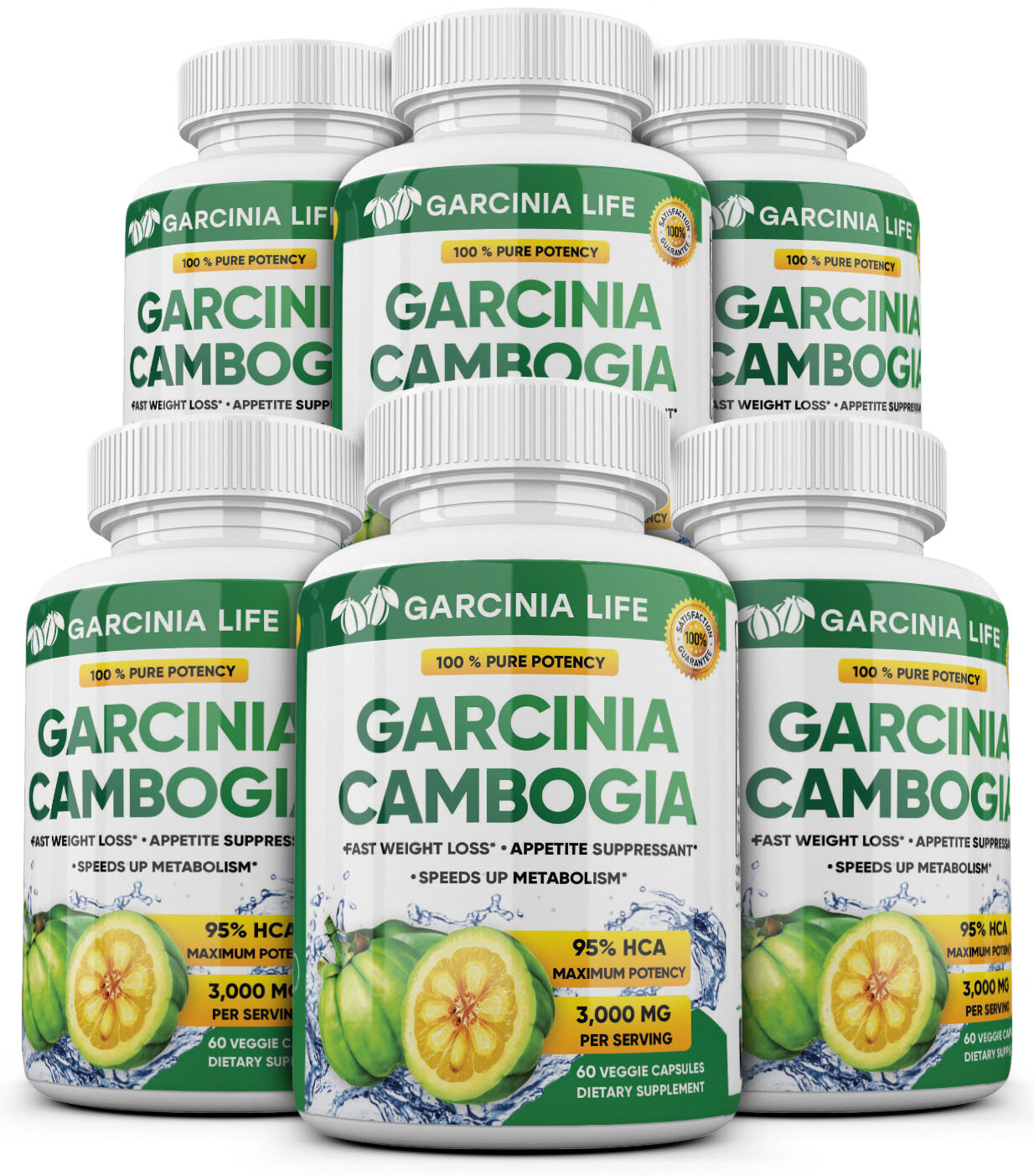 6 x BOTTLES 360 Capsules 3000mg Daily GARCINIA CAMBOGIA HCA 95% Weight Loss Diet
