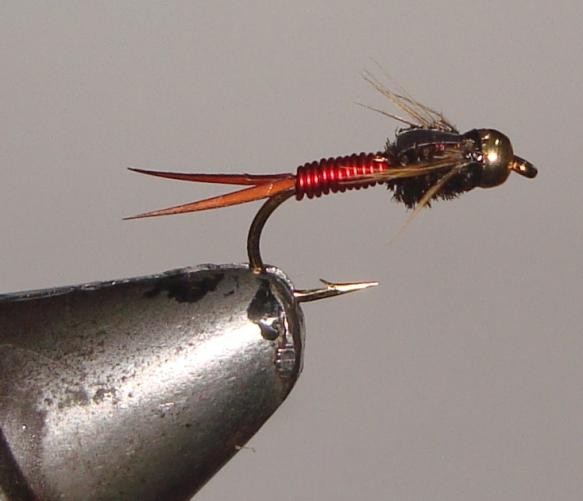 C/A FLIE COPPER JOHN B/H  RED #14 (12)