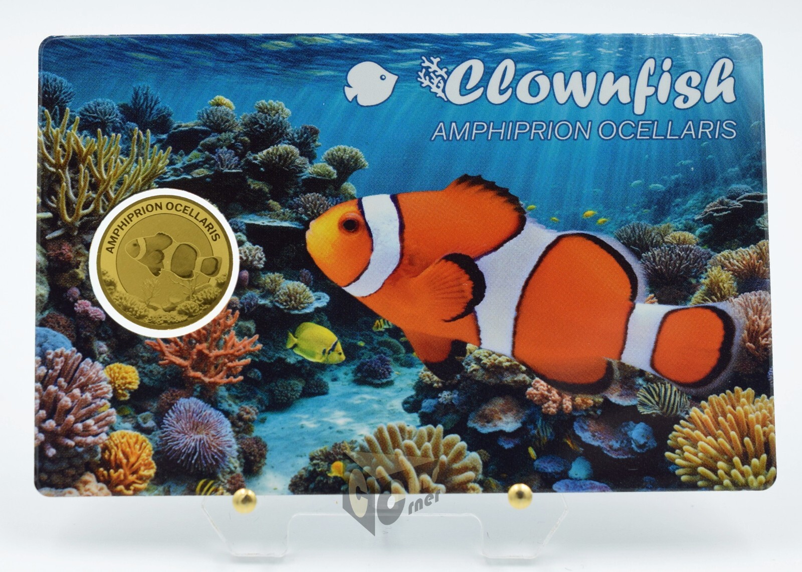 Clownfish 1/1000 Oz 999 Gold Coin 3000 Francs Chad