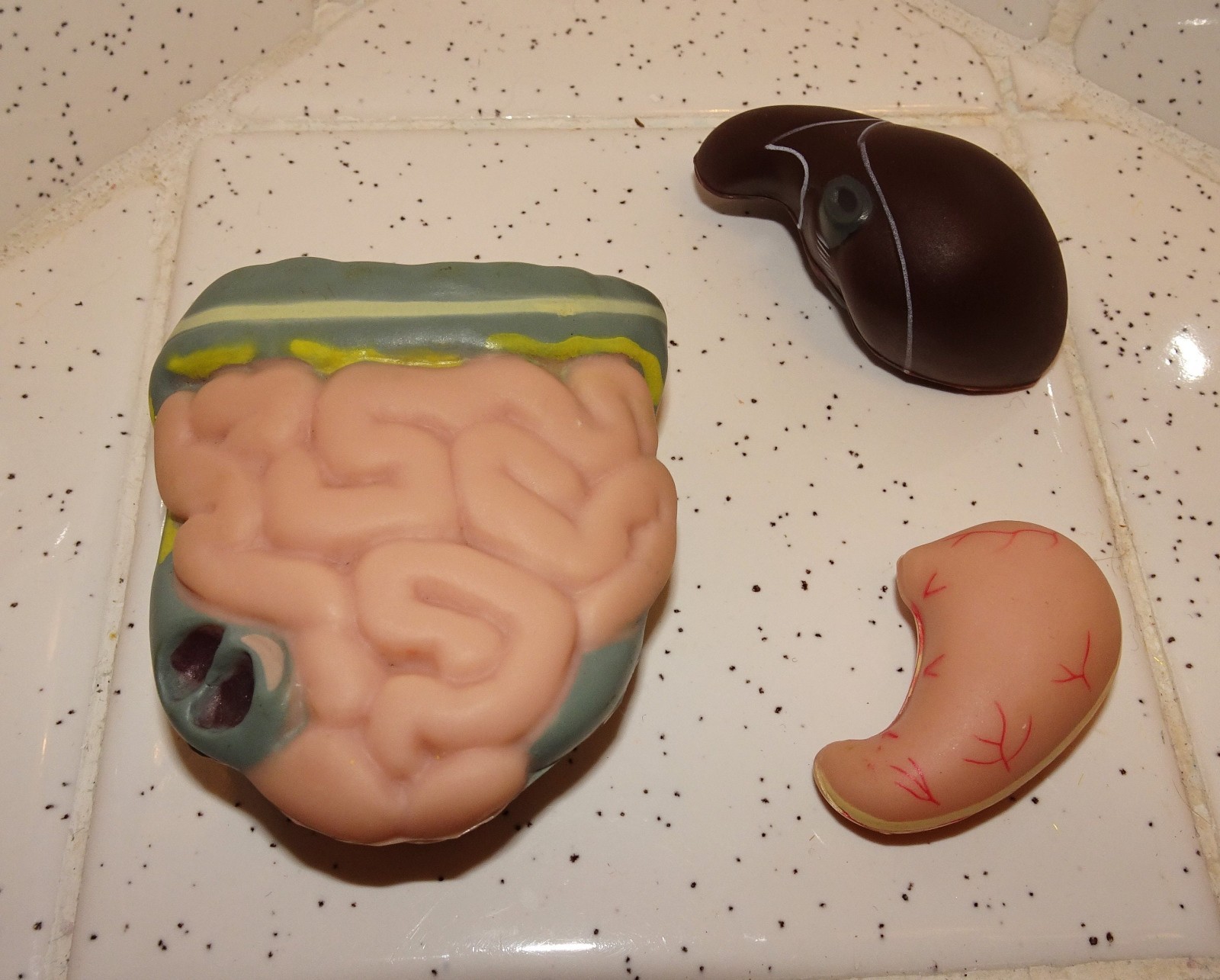 Plastic Human Organ Miniatures liver kidney intestines medical model oddity goth