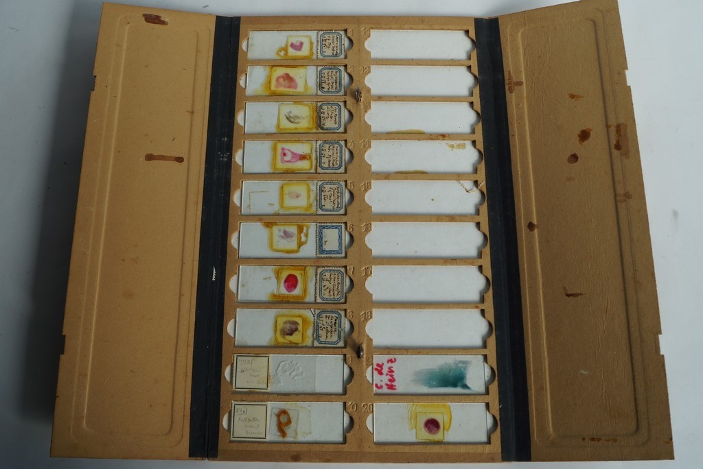 Old microscopic preparations (76912)