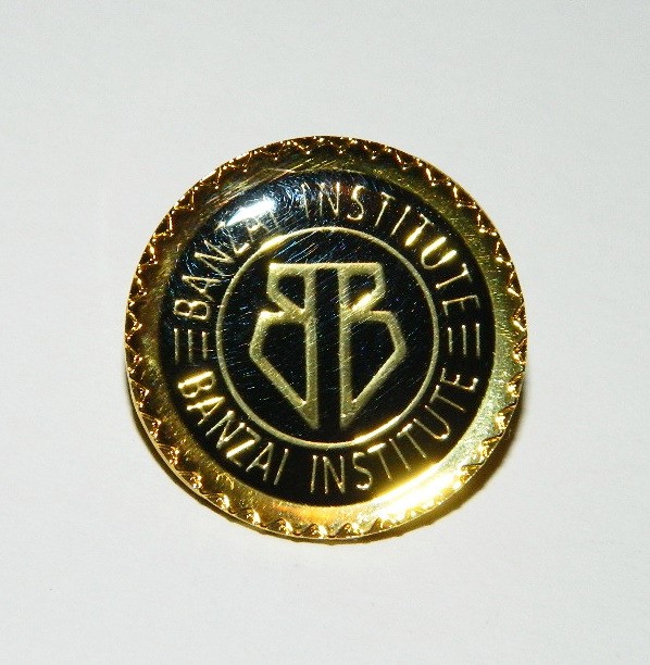 Buckaroo Banzai Movie Banzai Institute Logo Enamel Metal Pin, NEW UNUSED